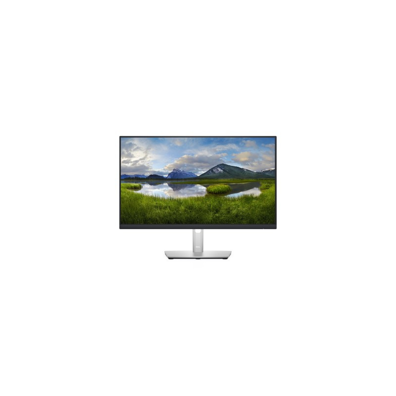 Monitor DELL P2422H