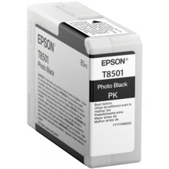 Cartucho EPSON T850100