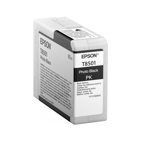 Cartucho EPSON T850100