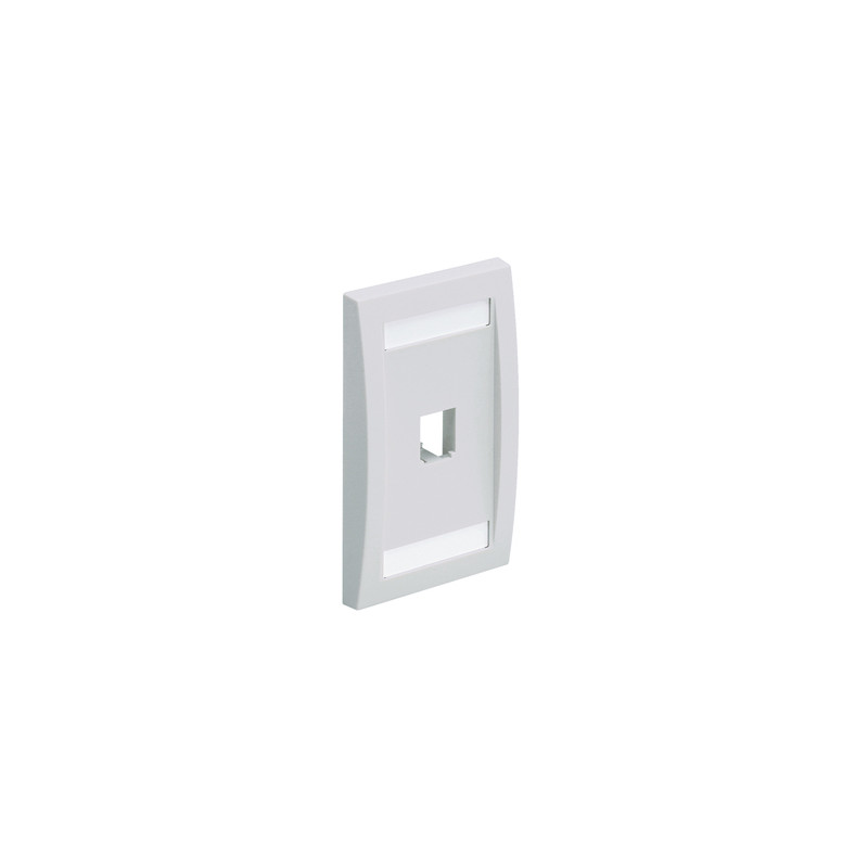 Placa Ejecutiva PANDUIT cfpe1why