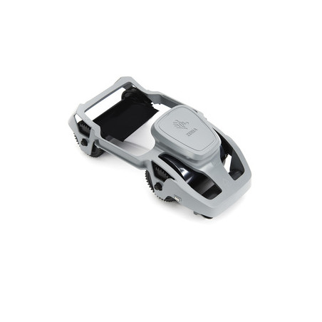 CINTA EFECTO PERLADO ZEBRA ZC300