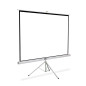 Pantalla proyección tripie 84″ DIBAN Qian QPD-69601