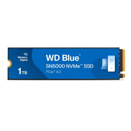 SSD SANDISK WDS100T4B0E