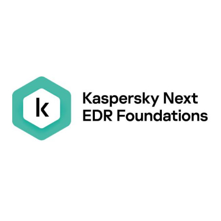 KASPERSKY KL4065ZAPDS