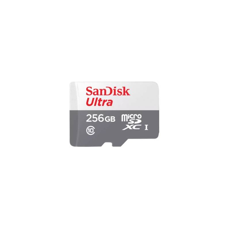 Micro SD SANDISK SDSQUNR-256G-GN6TA