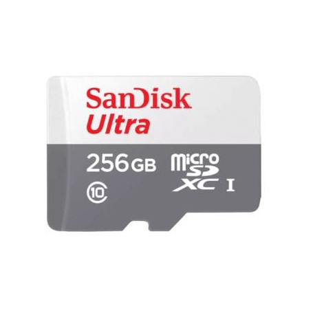 Micro SD SANDISK SDSQUNR-256G-GN6TA