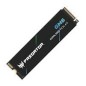 SSD PREDATOR GM6