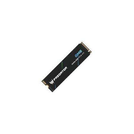 SSD PREDATOR GM6