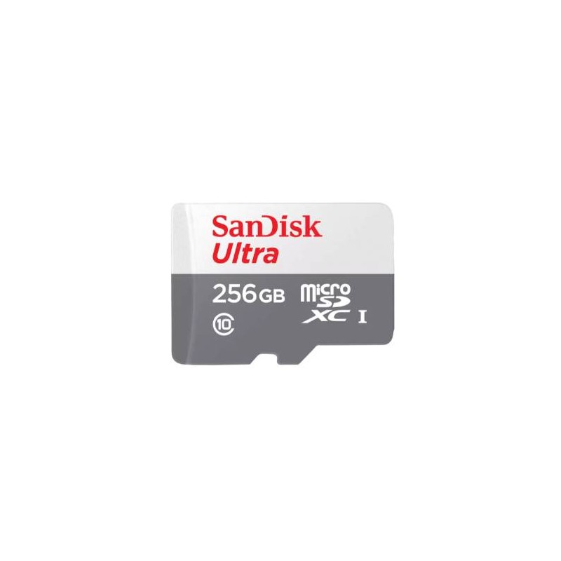 Memorias Flash SANDISK SDSQUNR-256G-GN6TA