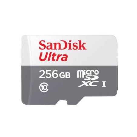 Memorias Flash SANDISK SDSQUNR-256G-GN6TA