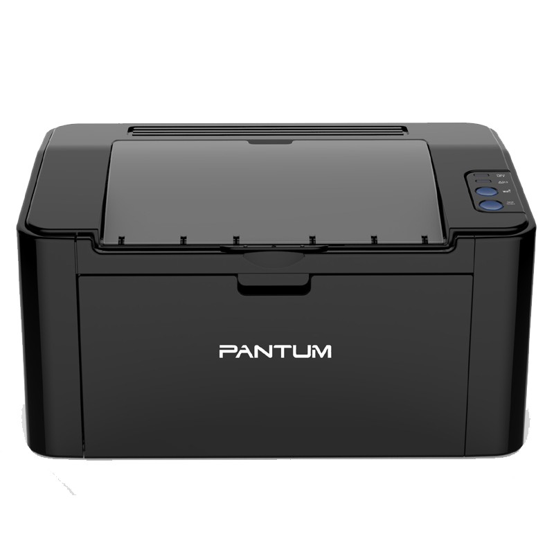 Impresora Pantum P2500W