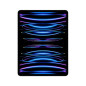 iPad APPLE MNXT3LZ/A