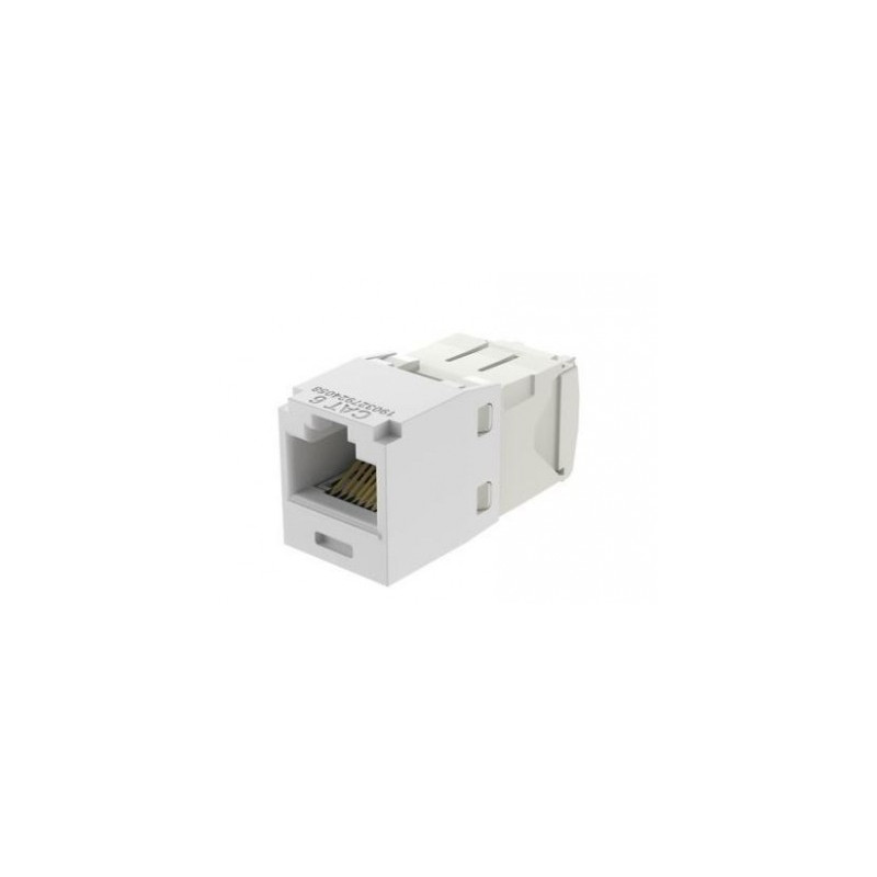 Jack PANDUIT CJ688TGWH
